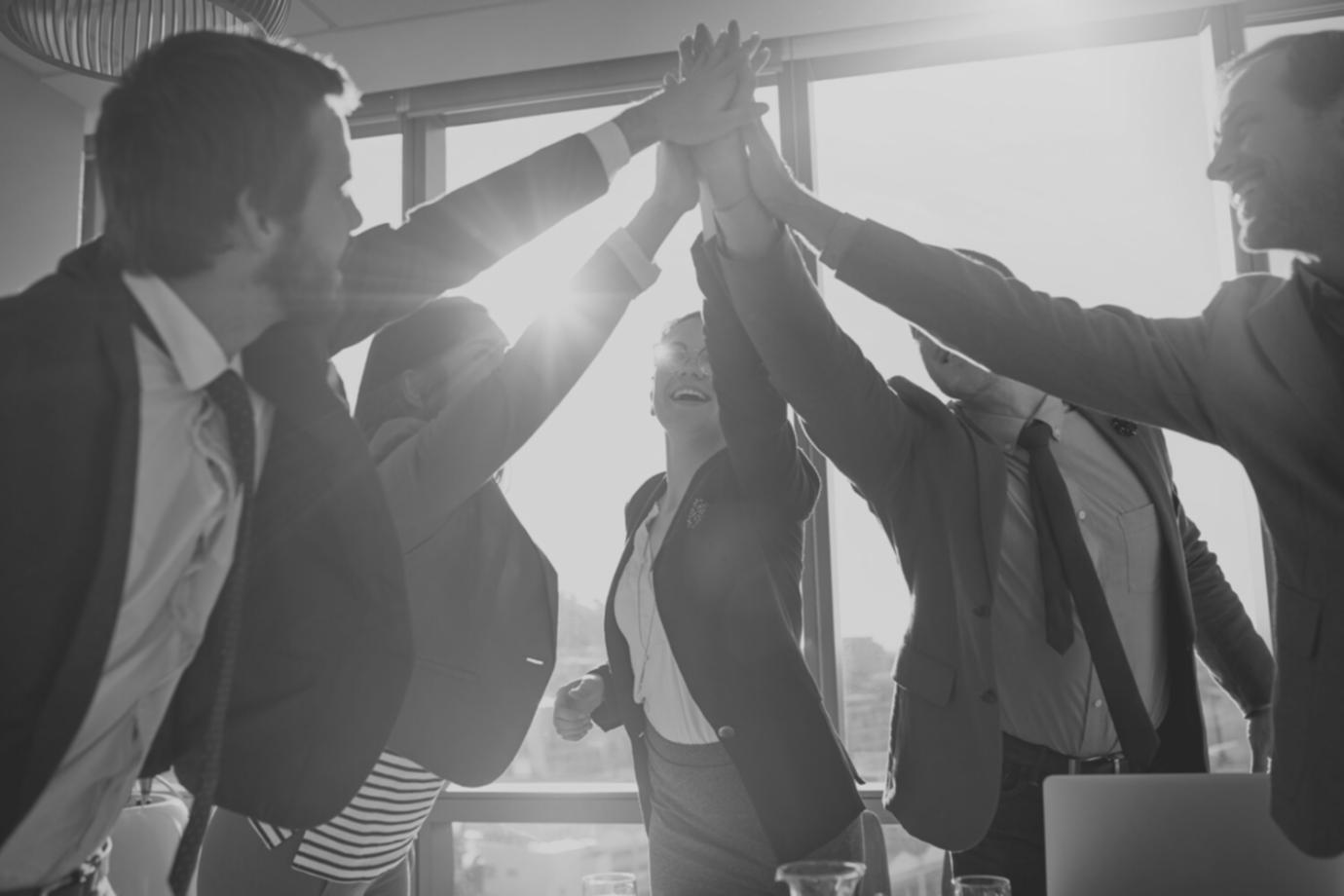 Команда финансовых консультантов WhiteNode